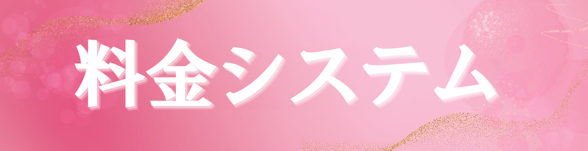 料金システム